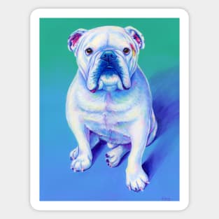 White Bulldog Sticker